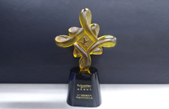 施耐德-2011渠道會(huì)議會(huì)杯