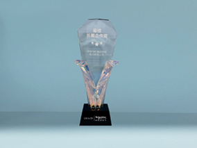 施耐德-最佳長(zhǎng)期合作獎(jiǎng)